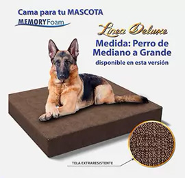 Lee más sobre el artículo Cama Deluxe De Memory Foam C/funda Lavable P/perro Mediano